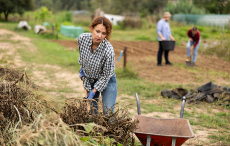 Woman takes out bunch of branches, puts in wheelbarrow