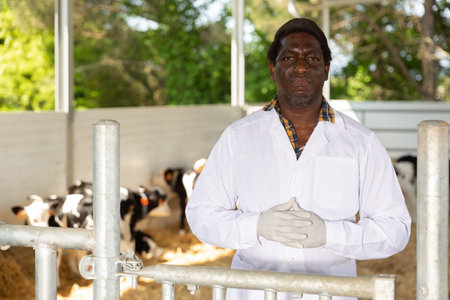 African american veterinarian standing near stall with calvesの写真素材