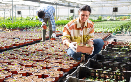 Two women tending plants and seedlings in greenhouse