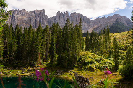 Lake landscape with mountain and forest, Lago di Carezza, Italy