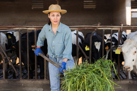 Young asian female farmer feeding cows with green grass