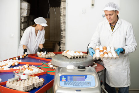 Chicken farm employee sorts and labels chicken eggs