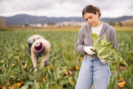 Female farmer harvests broccoli with a team of farmers in farm field