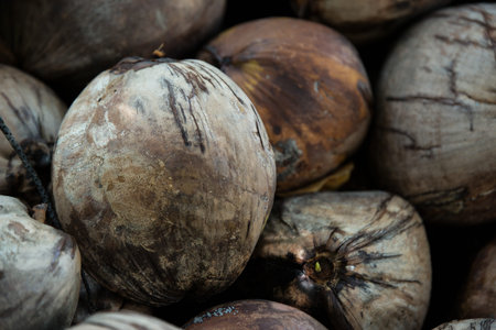 coconut