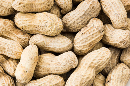 peanut on white background