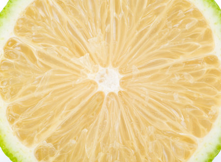 slice of fresh lemon that were cut in half isolated on white background