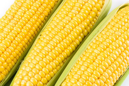 sweet corn on white background