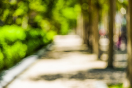 Nature green tree abstract bokeh backgroundの写真素材