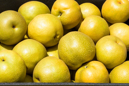 A lot of asian pears in the basketの写真素材
