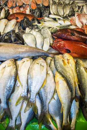 Fresh raw Fish at the fish market.の写真素材