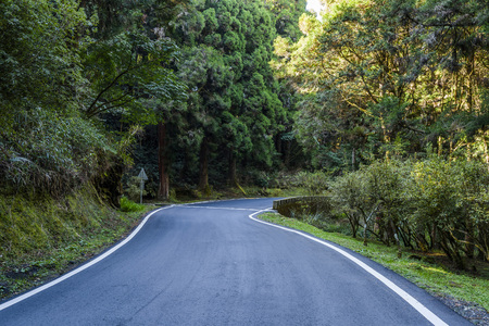 Mountain road in green forestの写真素材