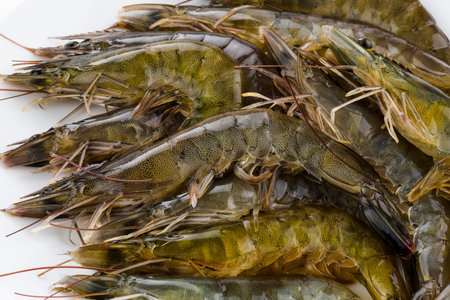 Raw shrimp on white background