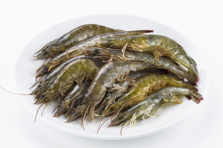 Raw shrimp on white backgroundの写真素材
