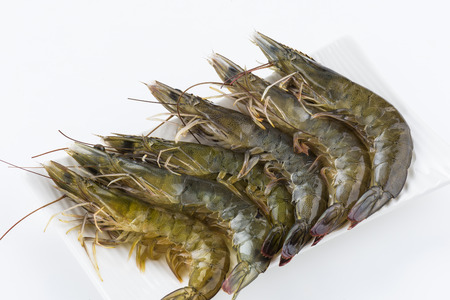 Raw shrimp on white backgroundの写真素材