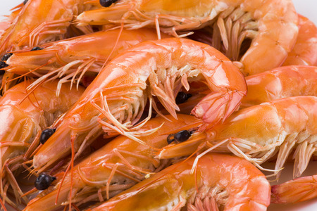 Close up of fresh boiled shrimp isolated on white backgroundの写真素材