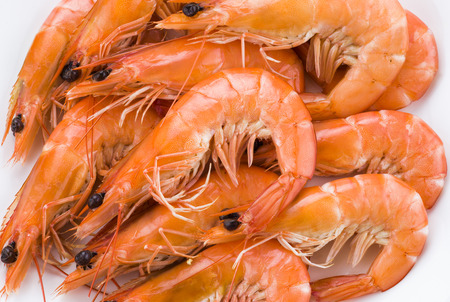 Close up of fresh boiled shrimp isolated on white backgroundの写真素材
