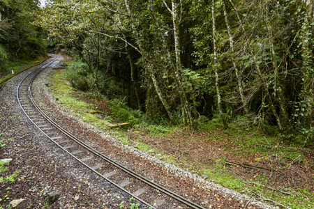 Alishan Forest railway in Taiwanの写真素材