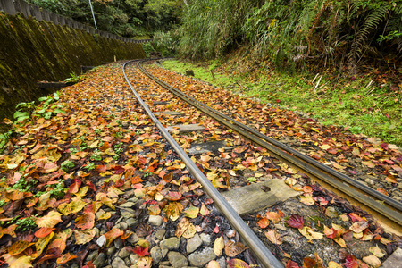 Alishan Forest railway in Taiwanの写真素材
