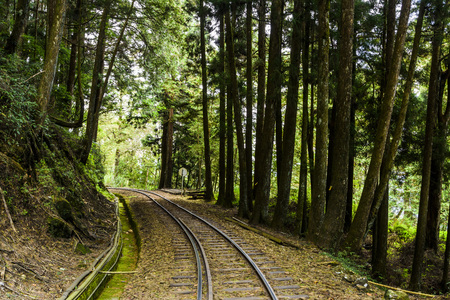 Alishan Forest railway in Taiwanの写真素材