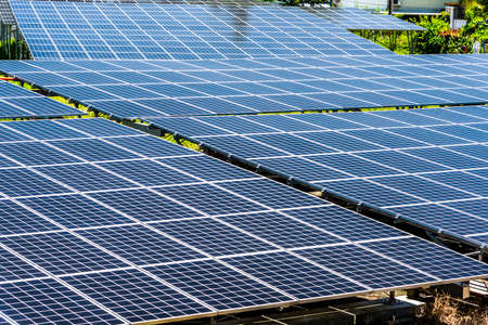 Solar panels in the power plant for renewable energyの写真素材