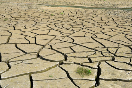 Dry lake bed with a natural texture of cracked clay on the perspective ground.