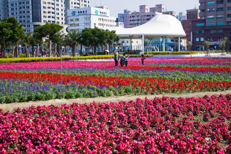 The beautiful sea of flowers and the artificial lake in Aozihdi Forest Park, Kaohsiung, Taiwan.のeditorial素材