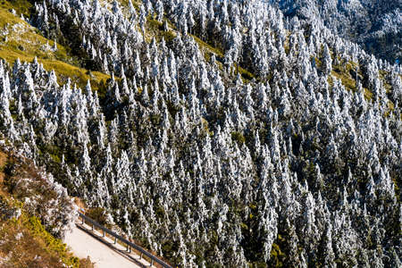 The snow and ice of Taiwan's Hehuanshan covered forests and asphalt roads. Taroko National Park is one of Taiwan's most popular tourist attractions.の写真素材