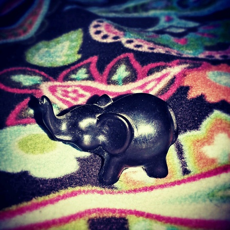 Elephant floral background の素材