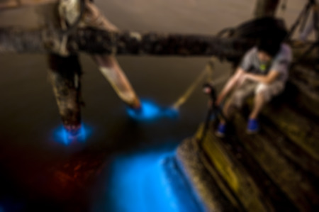 Marine Plankton glow in the dark in Thailand, Bioluminescenceの写真素材