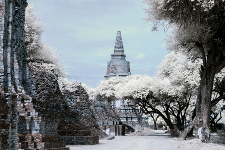 Ayudhaya The Historical park  Thailand, shooting style with filter infrared 72の写真素材