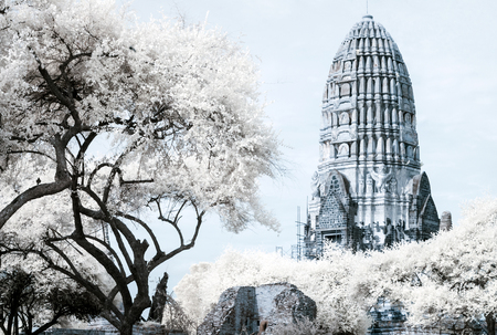 Ayudhaya The Historical park, world heritage of Thailand, shooting style with filter infrared 72の写真素材