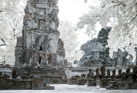 Ayudhaya The Historical park,の写真素材