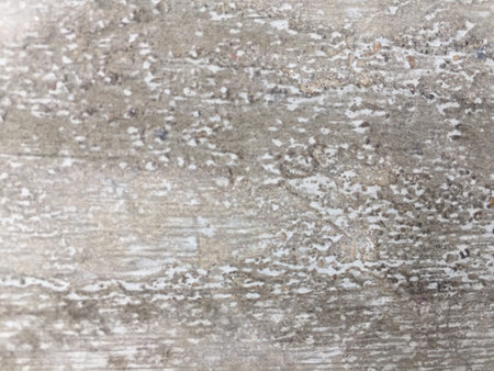 Cement surface grunge texture