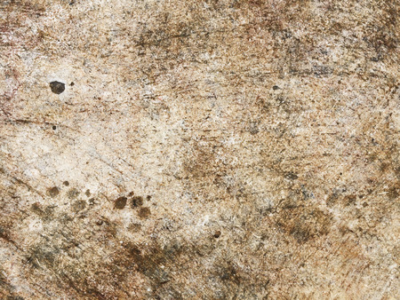 Cement surface grunge texture with dog foot printsの写真素材