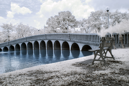 Near Infrared or IR photo panoramic view of bridge outdoor public parkの写真素材
