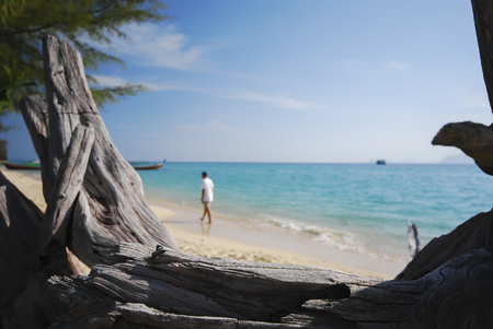 Big dead tree on the shoreline and blurred focus of tourist walking on the white beach blue sea.の写真素材