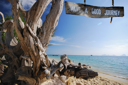 Big dead tree on the beach blue sea with hanging wooden sign.の写真素材
