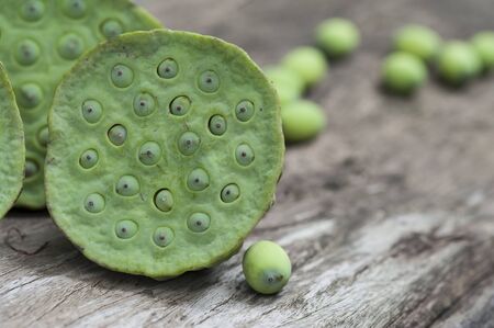 Lotus seed or lotus nut. The traditional Chinese and Indian medicine. Good for healty and can eat both fresh and dried seed as a snack dessert or cooking as a food. Shooting on vintage wood surface table.の写真素材