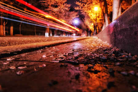 Close up view of asphalt road with fallen flower petals
