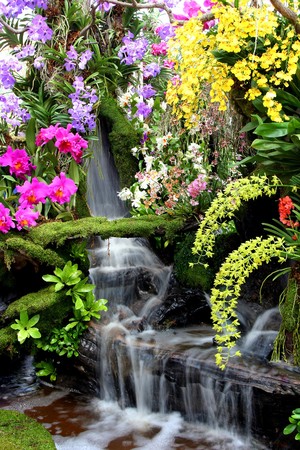 Water fall and flower in Thailandの写真素材