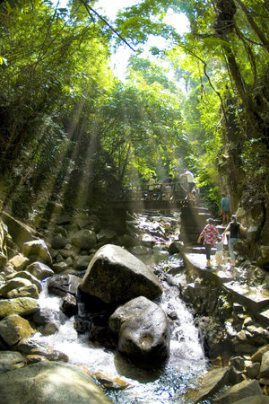 waterfalls in deep forest 