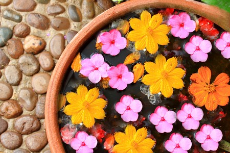 Flowers on water of spaの写真素材