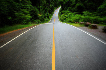Road in deep forest