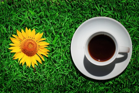 Black coffee cup on green grassの写真素材