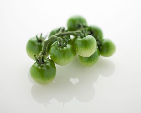 Green Tomatoの写真素材