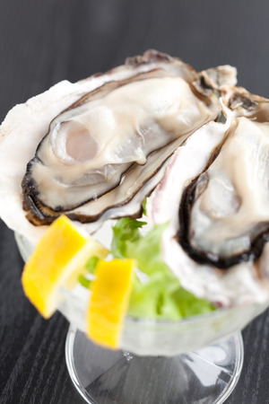 Oyster cocktailの写真素材