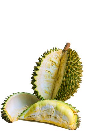 Durian, the king of fruits, isolated on a white backgroundの写真素材