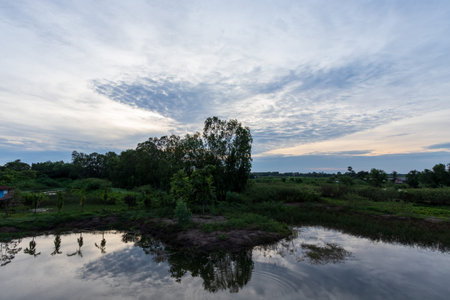 Trees by the canal and the evening sky in the countryside in Thailand