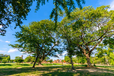 View of Phra Nakhon Si Ayutthaya Old Town in Ayutthaya Province in Thailandの写真素材