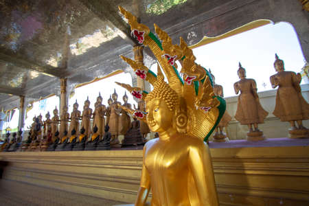 The Buddha statue at Wat Kudi Thong is a beautiful temple in Pathum Thani Province in Thailand.の写真素材